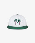 Palma Drive Snapback