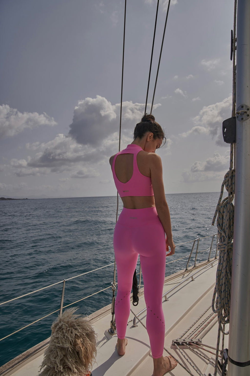 V-waist Laser Cut Sports Legging